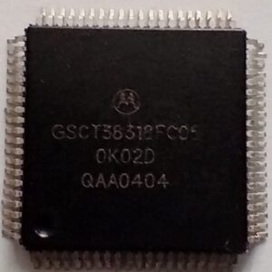 OEGD01N02